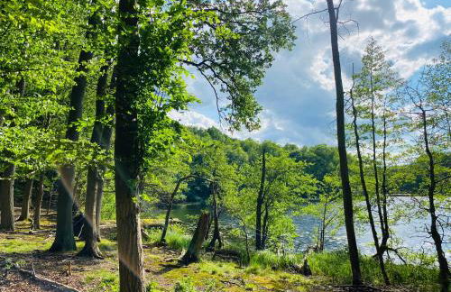 Klein aber fein in der Altstadt - Photo 19