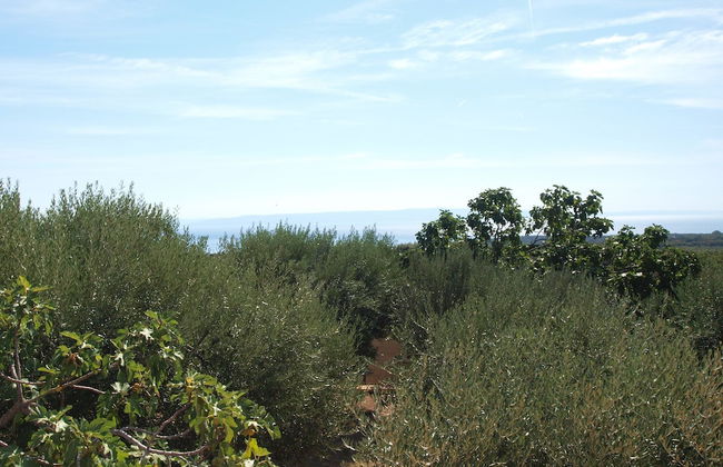 Apartment 1437 - Foto 41