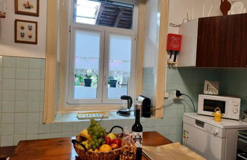 QM - Quinta da Morgadinha - Casa em Quinta Rural - Foto 44