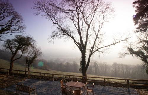 Little Silver Leaf - Foto 19