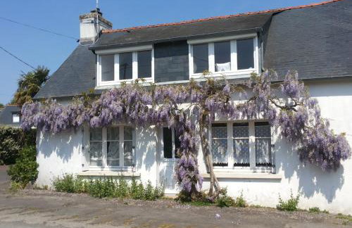 La Glycine - Foto 29