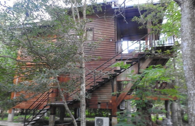 wilpattu Tree House - Foto 40