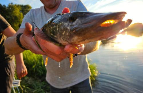 Dom z linią brzegową Narwi - Photo 21