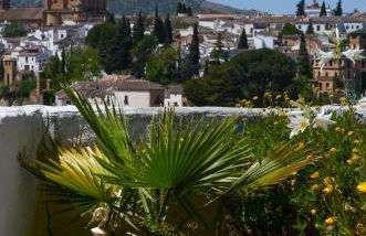 City Central Studio +Private Garden +Amazing View - Photo 20