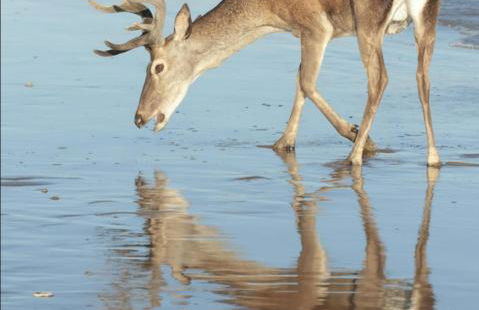 Apartamento Ana Maria - Foto 39