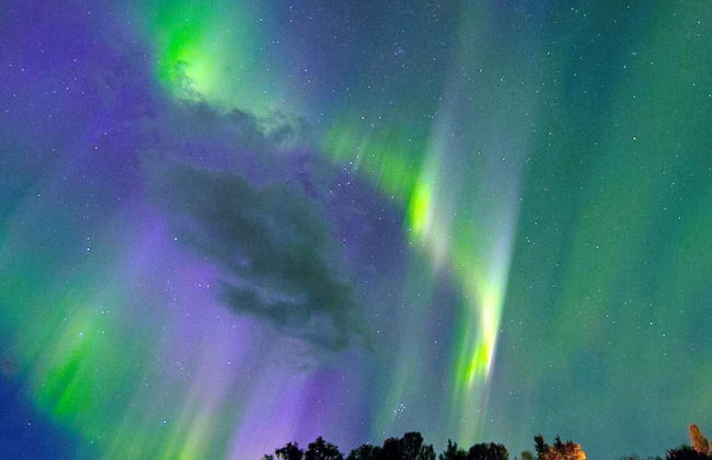 8 Person Holiday Home in Svensby - Foto 39