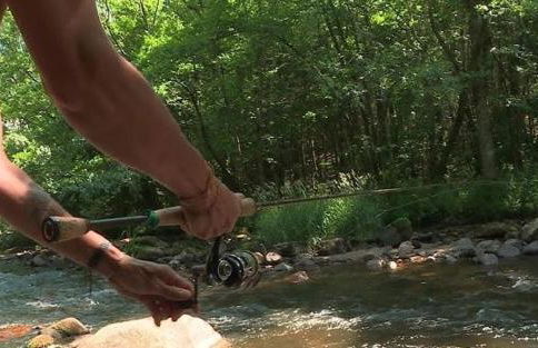 GITE BAS-EN-BASSET, HAUTE-LOIRE, MAISON et JARDIN ATYPIQUE PLEINE NATURE - Foto 28