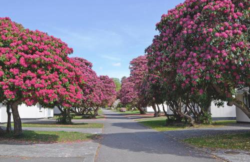 Talland Bay - Photo 11