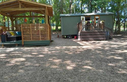 Little Greenwood Shepherd Hut - Sleeps 2 - Foto 5