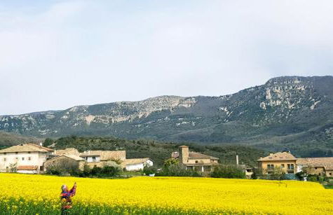 Basaula Berri alojamiento rural - Foto 10