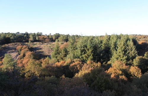 Le Cottage de la Doucette - Foto 41