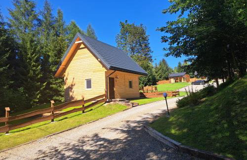 VIA Bieszczady - Foto 40