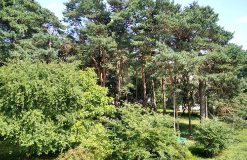 Apartament Górka Zdrój - Foto 23