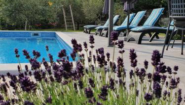 Holiday House OLIVE GROVE with pool and garden - Foto 5, Garden