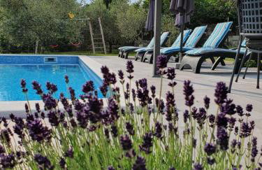 Holiday House OLIVE GROVE with pool and garden - Foto 5