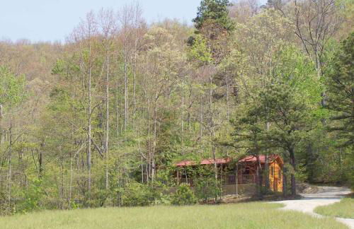 Cabin on the Hill-Peaceful 1BR 20-Acre Rural Retreat-HotTub&WiFi near Asheville - Foto 2