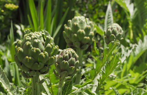 Casa de Pereiró - Foto 41