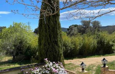 Can Catrol - Foto 20