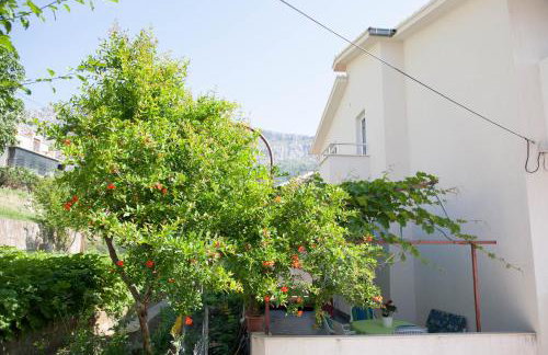 Ana Marija - Foto 23