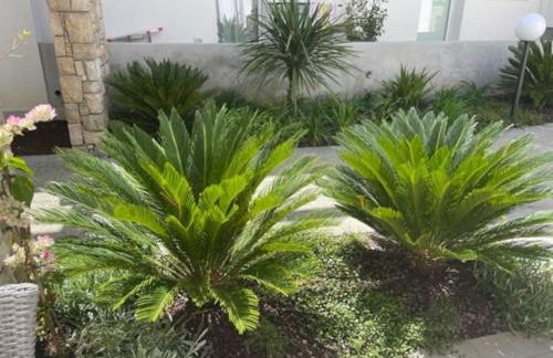 Casa Gardalido mit Garten und Pool - Foto 24