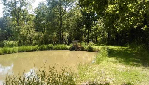 Gîte familial au cœur du parc de La Brenne avec étang privé, cheminée, Wi-Fi et animaux acceptés - FR-1-591-377 - Foto 2