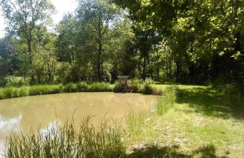 Gîte familial au cœur du parc de La Brenne avec étang privé, cheminée, Wi-Fi et animaux acceptés - FR-1-591-377 - Foto 2