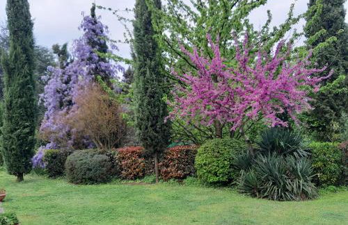 Il Fienile del Colle - Foto 29