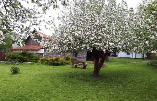 Dom Góra na Mazurach Balia z jacuzzi - Foto 63