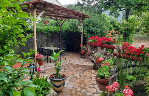 Cabañas los Pinos Arroyo Frio - Foto 11