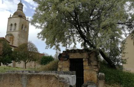 ATICO CAPRICHOS ARANDA - Photo 23