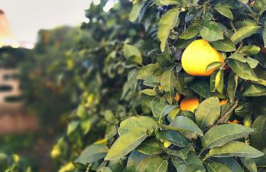 A casa di Iole - Foto 10