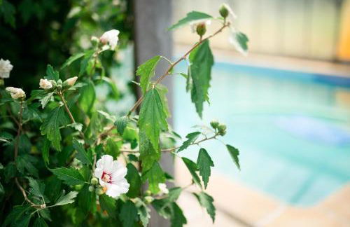 Chateau L' Escale - Photo 32