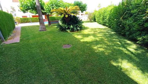 Apartamento Puntal - Foto 3, Garden, Garden view