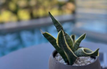Nomas Living - Foto 7