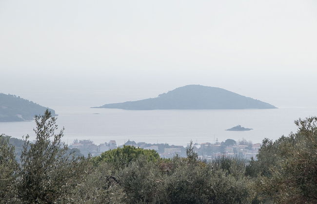 Armamento Villa - Photo 30