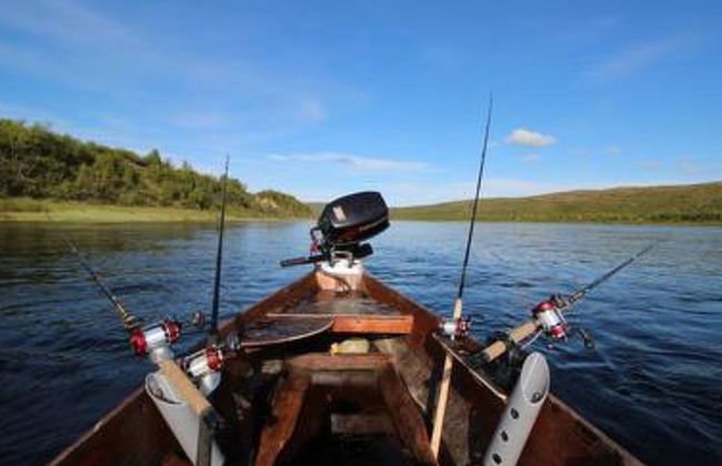 Karetörmä - Foto 31