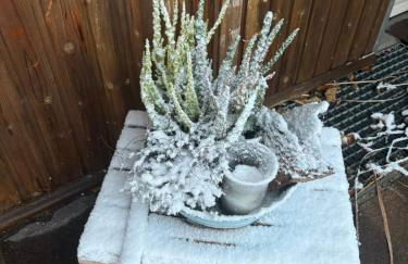 Ferienapartments Engeln Eifel - Foto 32