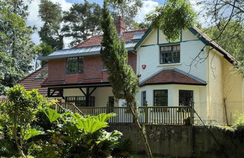 Stunning Edwardian Country Home Unwind - Foto 9