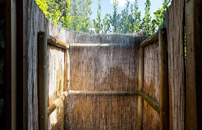 Colto Dei Pallanti in Radda in Chianti - Foto 16