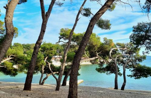 SEAVIEW - Foto 41