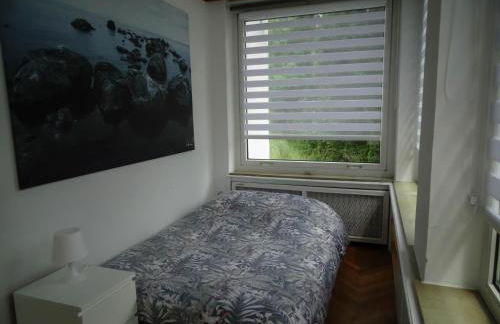 Hubertus III - Foto 31