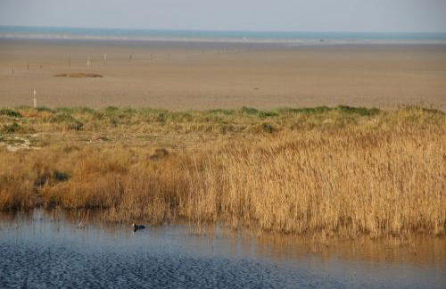 Villa Noroit - Foto 60