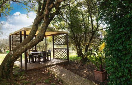 Villa immersed in green Isola dei Cavalli - Foto 52