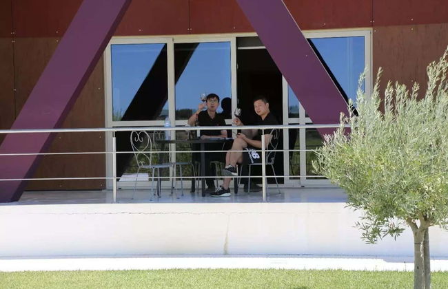 Visita à adega Quinta Monteiro de Matos - Foto 4