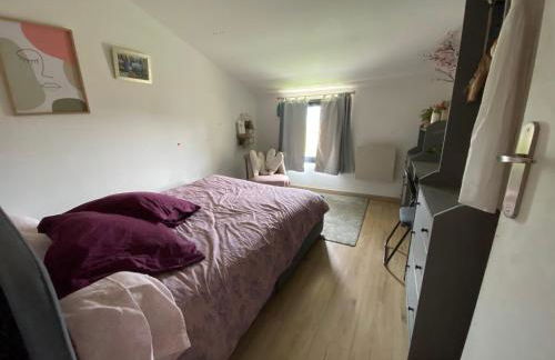 Maison familiale, coeur de ville & nature - Foto 12