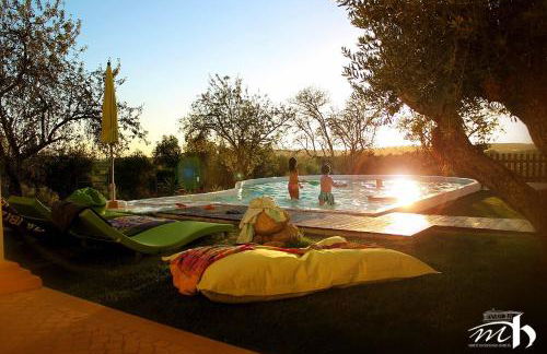 Monte do Mato dos Homens - Foto 53