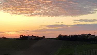 Agriturismo bio Verde Armonia - Photo 5