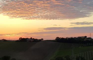 Agriturismo bio Verde Armonia - Photo 5