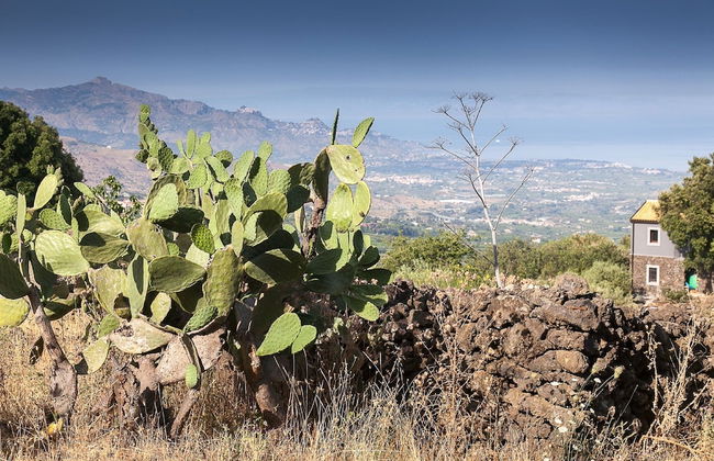 Etnella enoagriturismo Notti Stellate - Foto 39