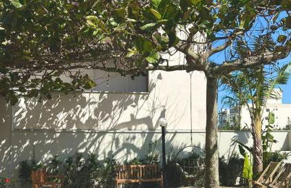 Férias de Verão - Foto 2